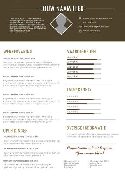 Duits en Nederlands CV template voorbeeld