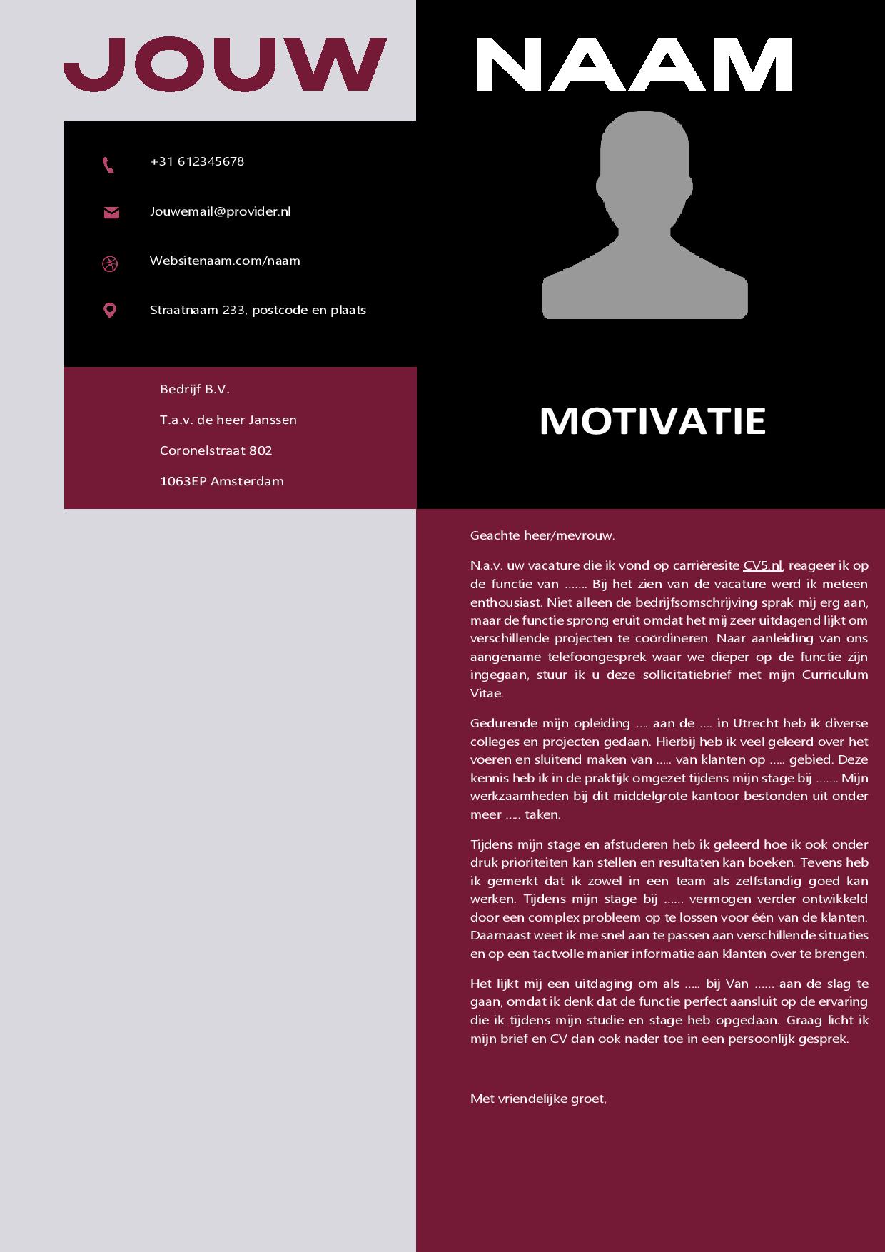 CV Template Unique Afbeelding 2